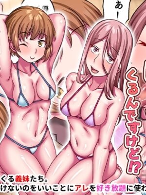 義妹たちが俺のをしゃぶってくるんですけど!?お兄ちゃんのおち〇ぽは私たちが癒してあげるのっ!【ＤＬメイト】