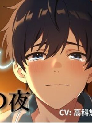 泣き犯し〜 同棲解除日記 ― 最後の夜、僕たちは涙を流しながら身体を重ねた 〜 ASMR/バイノーラル/泣きエッチ/カップル/日常/別れ/感動/あまあま/中出し【ヨルマガ！ -ASMR Night Life Media-】