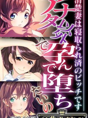アナタ以外で孕んで堕ちたいの 〜清楚妻は寝取られ済のビッチです〜【CG集コレクション】 モザイク版【大人のSEXY絵本 NULL-MOSAIC】